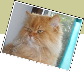 Bild : Felix